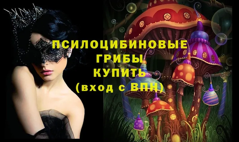 Галлюциногенные грибы Psilocybe  Химки 